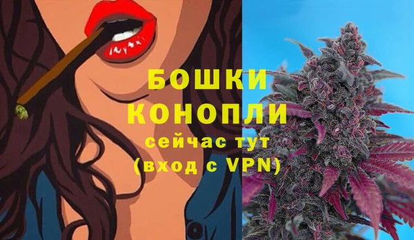 ПСИЛОЦИБИНОВЫЕ ГРИБЫ Горно-Алтайск