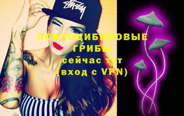 а пвп мука Вяземский